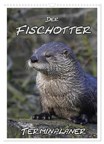 The Otter Appointment Planner (Wall Calendar 2026 DIN A3 High), CALVENDO Monthly Calendar: Fishing Otter - Floating Marten