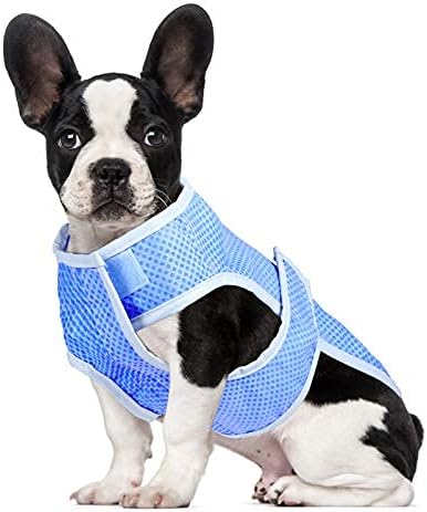 dog cooling jacket amazon