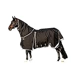 Innovative Artikulierten Dart-system