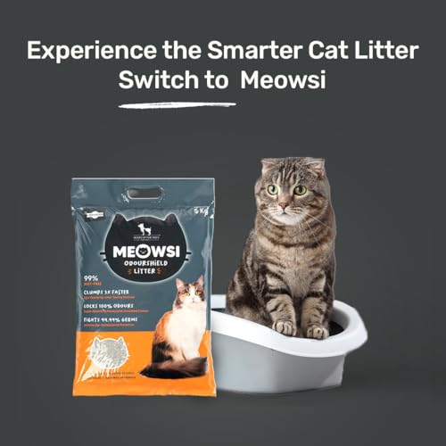 Image of Meowsi by HUFT OdourShield Unscented Cat Litter - 5 kg | Honeycomb Activated Carbon for Strong Odour Control | Natural, Low Dust & High Absorbency | Easy Clumping Litter for Cats