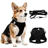 ZenithCove Harnais Petite Chien avec Laisse, Harnais Chiot Anti Traction...