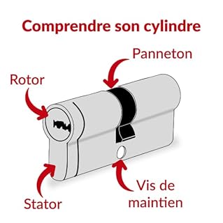 Cylindre de Serrure à Bouton 40BTx40mm TRANSIT 1 - Système de Sécurité Finition Nickel - Usage Porte d'Entrée - Fabriqué en France - Livré avec 4 Clés Plates Réversibles - Garanti 10 Ans - THIRARD