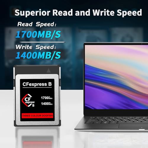 Image of Dogfish CFexpress Type B Card 512GB, Up to 1700MB /s, 8K 4K RAW Photo and Video, CF Express Flash Memory for Nikon Canon Panasonic Cameras Camcorders