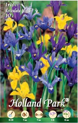 Holland Park bulbi da fiore di molte varietà e colori in sacchetto blister con foto (IRIS RETICULATA MIX 10 bulbi)