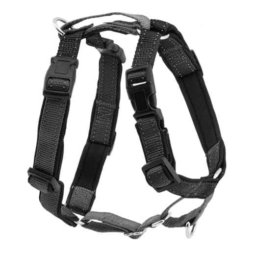 PetSafe 3 in 1 Hundegeschirr L schwarz, Autosicherheitsgeschirr, kein Ziehen, Tragekomfort, Reflektoren, Geschirrgriff