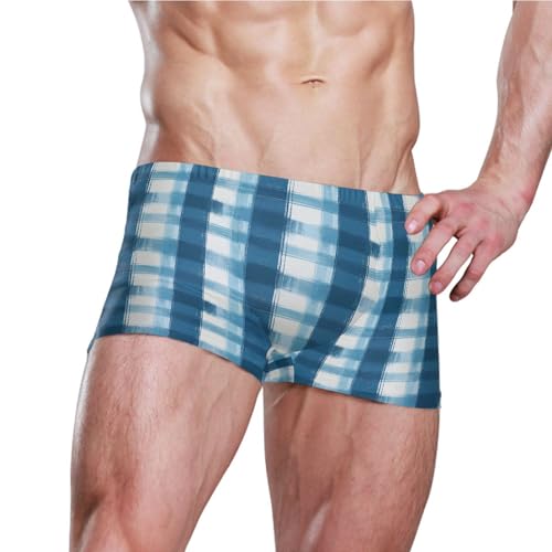 Blue Buffalo Check Plaid Mens Swim Trunk Swimwear Bathing Suit Swim Brief Square Leg Board Short S B04039513