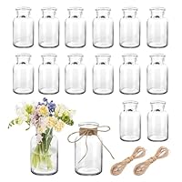 Kleine Vasen 16 Stück 10cm Hoch 125ml Mini Glasvasen Set Blumenvasen mit 20m Juteschnur für Hochzeit Küche Esszimmer Wohnzimmer Badezimmer Geburtstag Party Tischdeko