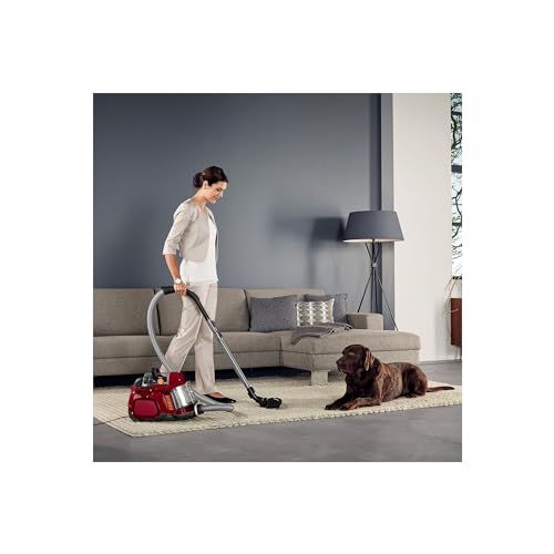 AEG Staubsauger Beutellos, Ideal für Haustierbesitzer, Zusatzdüsen + Spezialdüsen-Set für Tierhaare, 750 Watt, 9 m Aktionsradius, 1,4l Staubbehälter, Waschbarer Hygiene Filter, Leise, Rot, LX7-2-CR-A