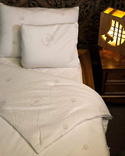 Cotton Cloud Natural Beds and Furniture Winter Weight Full Size Eco Valley Wool Comforter