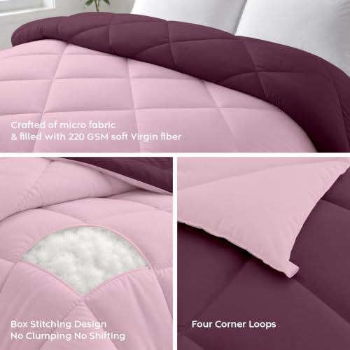 Image of AYKA Reversible Comforter 220 GSM Microfiber Reversible AC Comforter /Blanket for Winter /Quilt /Duvets for King Size Double Bed Comforter (Cameo & Plum, Double)