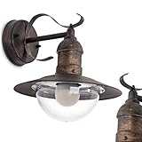 hofstein Aplique de exterior Broni, sin bombilla(s)