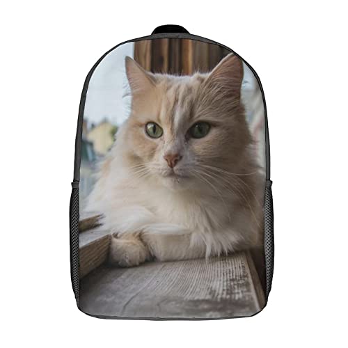 Sac à dos de sport scolaire chat 3D : grand volume de 17 pouces avec bretelles ergonomiques