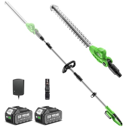 TaskStar Cordless Hedge Trimmer with Telescopic Pole