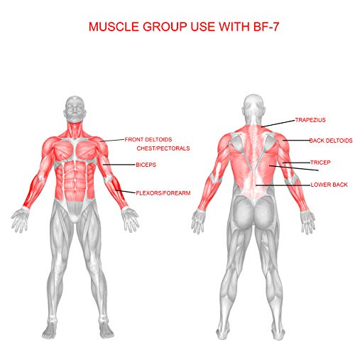 Valor Fitness BF-7 Olympic Bench with Spotter Stand