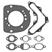 Cylinder Head Gasket Kit Fits for Kohler SV470 SV471 SV480 SV530 SV540 SV541 SV590 SV591 SV600 Engine Gasket Replace 2084101S