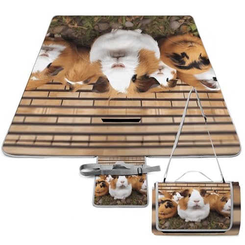 LQWOK Picnic Mats, Guinea Pigs Printed Picnic Mats,Travel Picnic Mats,Fashionable Picnic Mats,Folding Picnic Mats