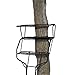 Big Game Guardian DXT High Quality Lightweight Portable 2 Person Hunting Outside Tree Ladder Stand, 18 Foot Tall Climbing System (2 Pack)