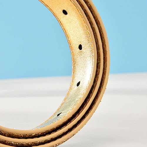 Vintage Retro Trouser Dress Belts Gold Silver Waist Strap Glitter Leather Belt Pin Buckle Waistband(115cm,gold)3