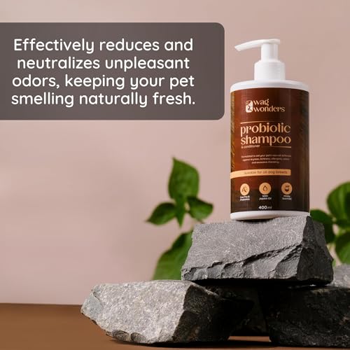 Image of 400ml Probiotic Shampoo for Dogs Natural Care, Helps in Improves Skin Health, Shinier Skin, Helps Itch & Allergy Relief, Reduced Odor, NO Sulphates, NO Parabens (Pack of 2)