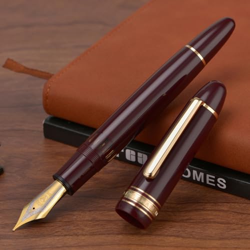 Stylo-plume élégant en résine noire et attributs argentés plume B - 4
