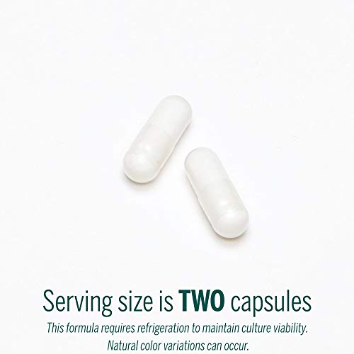 Genestra Brands Hmf Capsules | Probiotic Formula To Support Healthy Gut Flora | 60 Capsules #TOP3