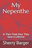 nepenthes alata x ventricosa  My Nepenthe: In Their Final Hour They Gave A Lifetime