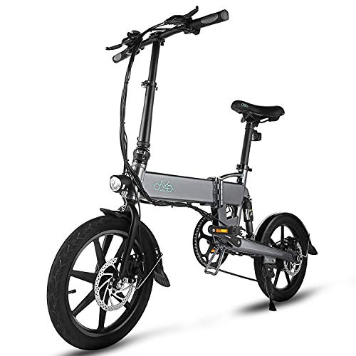 FIIDO D2 Folding EBike, 250W Aluminum Electric Bicycle with Pedal for Adults