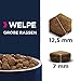 Eukanuba Welpenfutter getreidefrei mit Fisch für große Rassen - Trockenfutter ohne Getreide für Junior Hunde, 3 kg