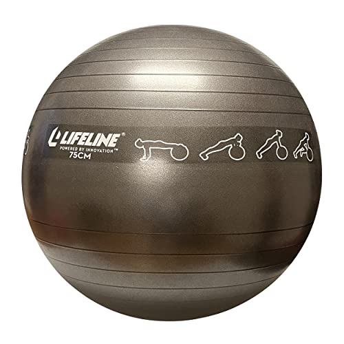 Lifeline Fitness Exercise Ball with Workout Guide – Burst-Resistant Stability Ball with Pump for Core, Balance, and Pregnancy Exercises