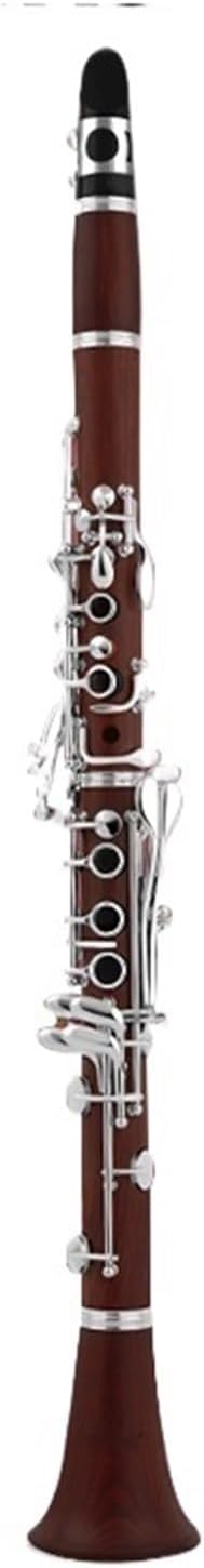 Clarinet Instrument Beginner Exam Performance B Flat Ebony(ABS environmental protection)
