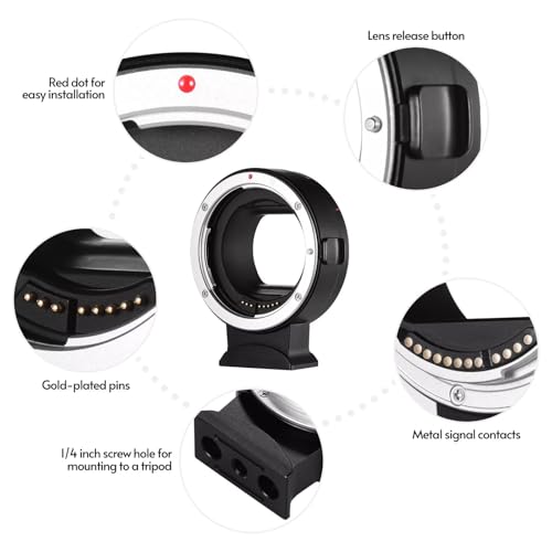 Adaptateur EF-EOS R bague de conversion pour objectif reflex Canon vers monture RF