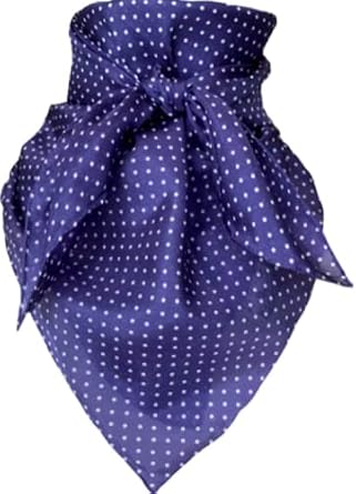 Wyoming Traders Polka Dot Silk Wild Rag Scarf - Navy Navy