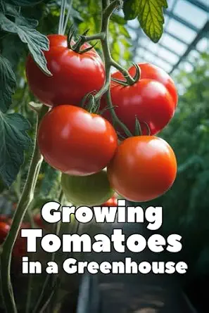 Growing Tomatoes in a Greenhouse: A Complete Step-by-Step Guide to Growing Tomatoes in a Greenhouse