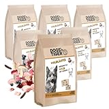Dogs’n Tiger Waldläufer, Adult Premium Trockenfutter für Hunde, Wild & Gemüse, 67% frisches Wildfleisch, Mit Omega-Öle, Ohne Zucker, Getreide & Konservierungsstoffe, hoher Proteingehalt, 6X 2kg
