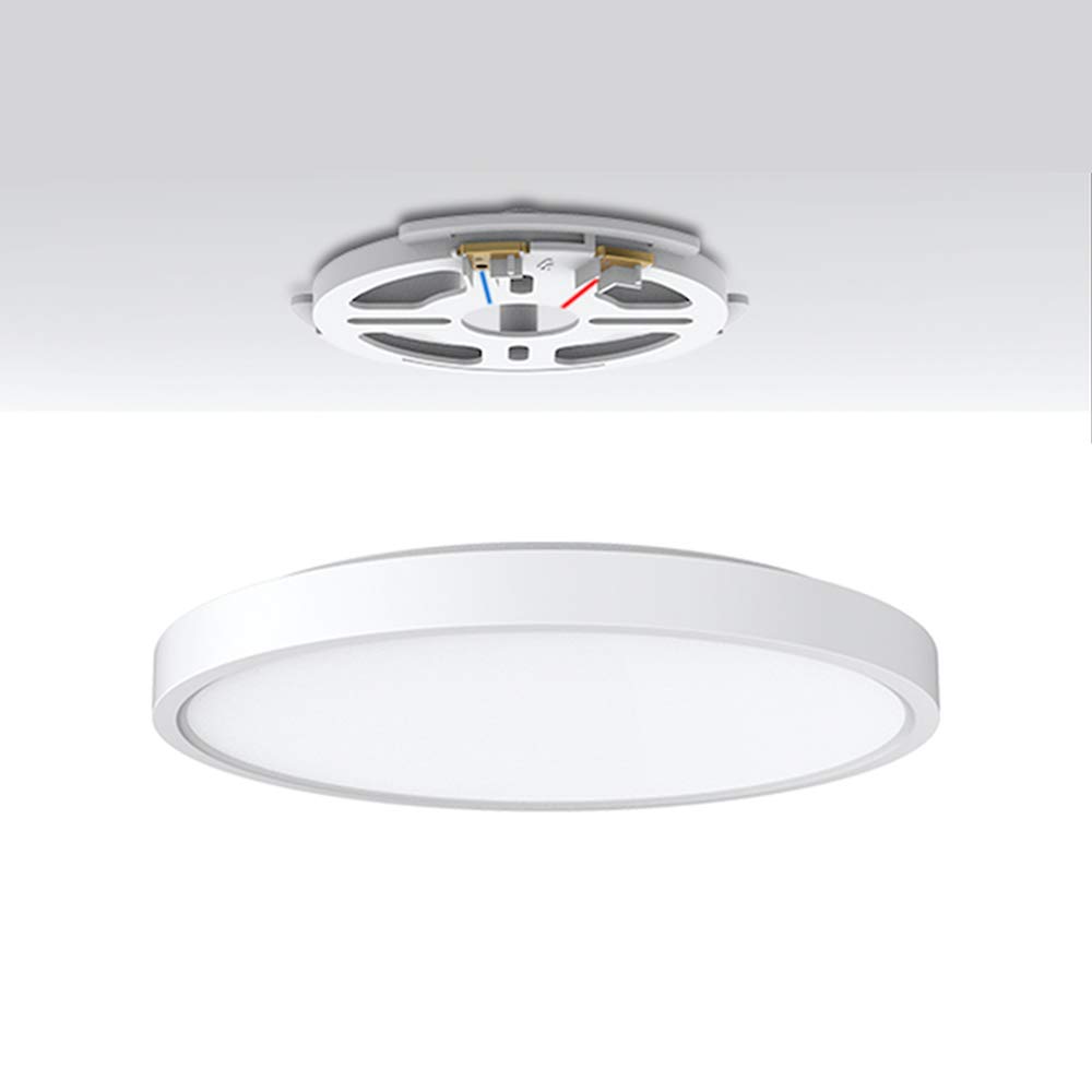 ZEYUN Modern Round 24W Ultra Slim LED Ceiling Lights, φ300mm, 1920LM, AC220-240V, 4000K, LED Ceiling lamp for Living Room, Bedroom, Kitchen, Balcony Hallway