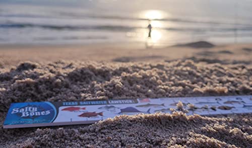 Salty Bones Texas Saltwater Lawstick - 36