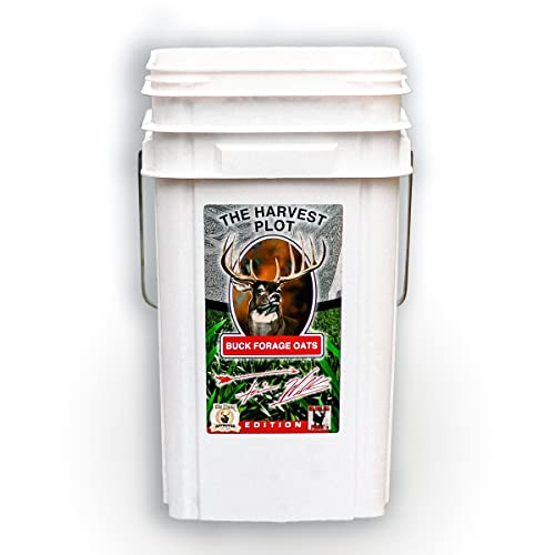 Top 10 Best Deer Food Plot Plants Reviews 2022 BNB