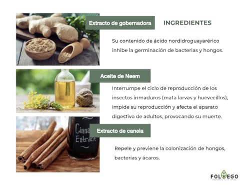 El mejor review de Aceite hormiga tala que puedes comprar esta semana. 12 El mejor review de Aceite hormiga tala que puedes comprar esta semana. 6