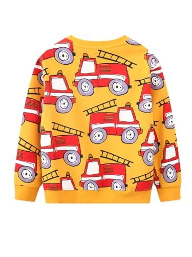 Boys Sweatshirts Casual Sweatshirts Cotton Sweatshirts Long Sleeve T-shirts Crew Neck Cartoon Tops for Boys-642