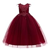 Girls Floral Embroidery Ball Gown Tween Wedding Pageant Sleeveless Birthday Party Graduation Tulle Dress Bow Belted Vestidos de niñas para Fiestas de Noche Red