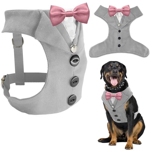 AVERYDAY �� �^�L�V�[�h �������� ���̃X�[�c �l�N�^�C �R�X�`���[�� �a���� �n���E�B�� �R�X�v�� �N���X�}�X �p�[�e�B�[ �y�b�g �t�H�[�}���E�F�A ���l�N�^�C�t�� �^�L�V�[�h ���^�� ��^�� �u���h�b�O ���u���h�[���E�n�X�L�[