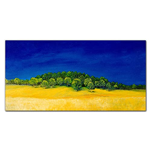 Tableau en verre acrylique 100x50cm peinture ciel et champ