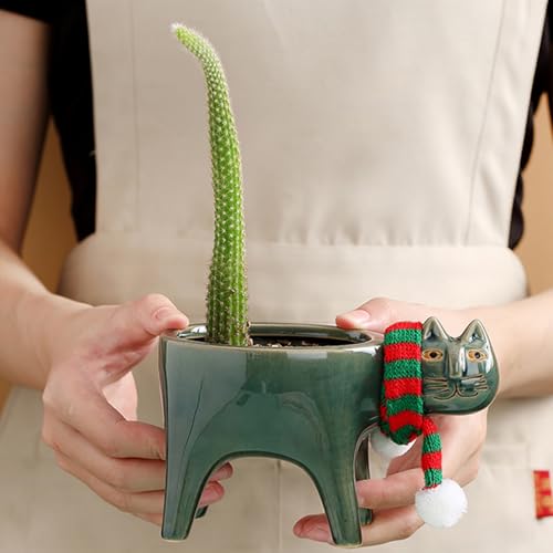 Pot de fleur conteneur plante succulente petit cache-pot intérieur