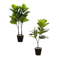 Amazon｜観葉植物葉の付いた枝の長い緑の植物 2 鉢、大きな盆栽、装飾