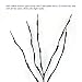3 Pack Warm White Lighted Branches 60 LED Twig Lights Lighted Plants Artificial Twinkle Willow Branch Lamp Home Fairy Light Up Branch for Vases Holiday Party Indoor Decor Battery Operated para Casa