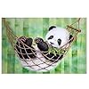Diamond Painting Kits voor Volwassenen 5d Crystal Diamant Schilderen Embroidery Kits Panda Strass Borduurwerk…