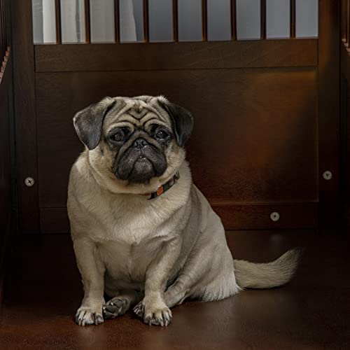 PawHut Hundekäfig, Haustierkäfig, Hundehütte für mittelgroße Hunde, Hundebox Indoor, Tierkäfig mit abschließbarer Tür, Braun, 80,5 x 59,5 x 67,5 cm