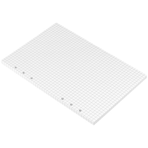 HEIYUET 540 Blätter A5 Papier Kariert, 6 Löch Nachfüllpapier A5 Ringbuch Papier Kariert, a5 Planer Einlagen Nachfülleinlagen Refill Paper für Notizbuch, 6 Löch Ringmappei, Tagbuch