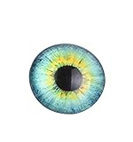 Black Temptation Set of 16 Glass Fake Eyes Craft Eyes Doll Eyes DIY Accessory [M]