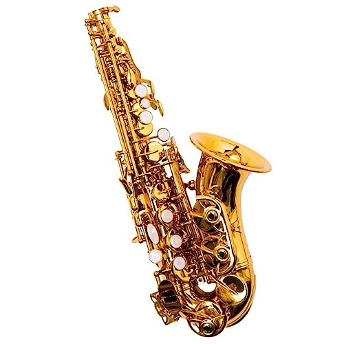 ゴールド カーブドソプラノサックス本体 Amazon | プロフェッショナル サックス カーブドソプラノサックス BB